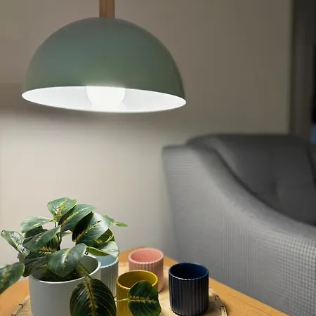 Gezgin 伊斯坦布尔